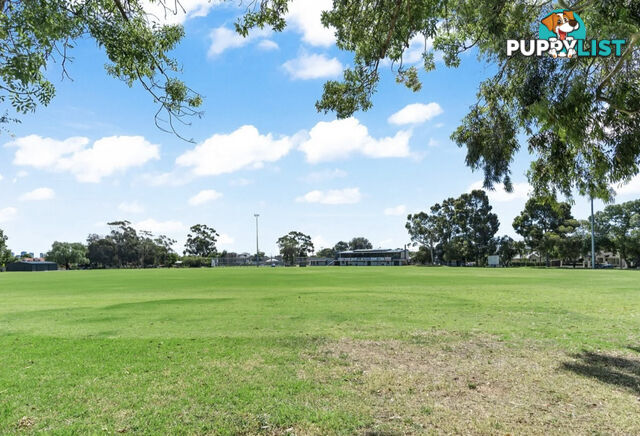 4 81 Avenue Road Payneham SA 5070