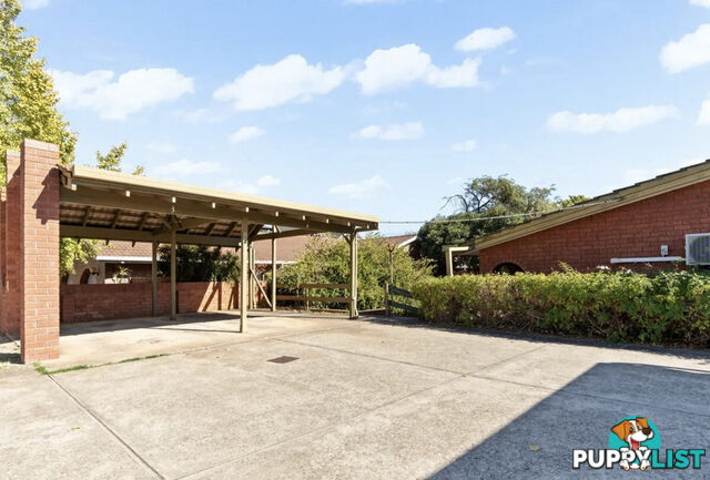 4 81 Avenue Road Payneham SA 5070