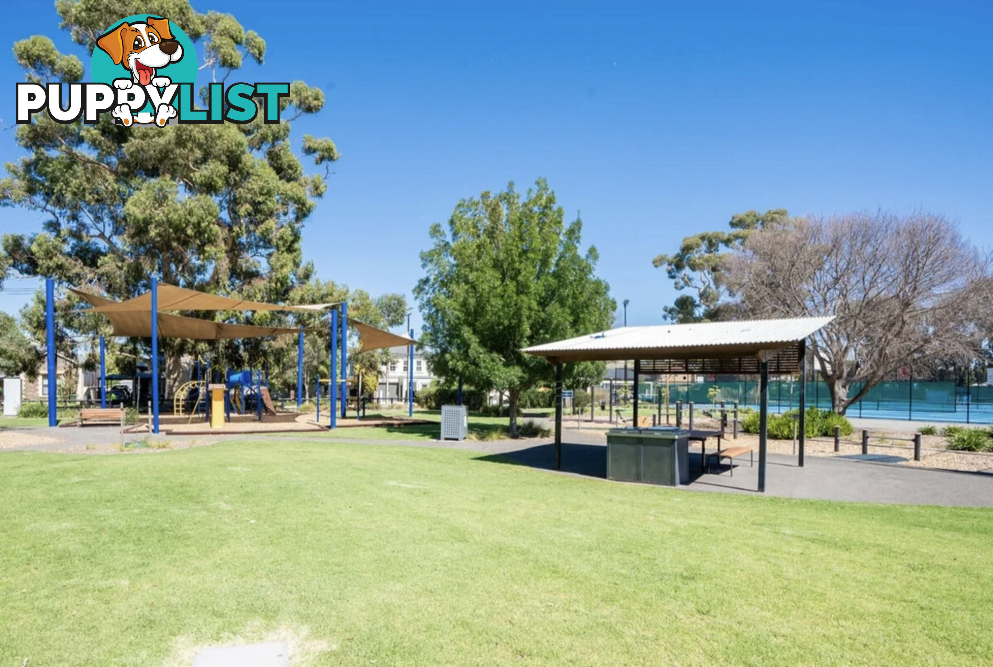 4 81 Avenue Road Payneham SA 5070
