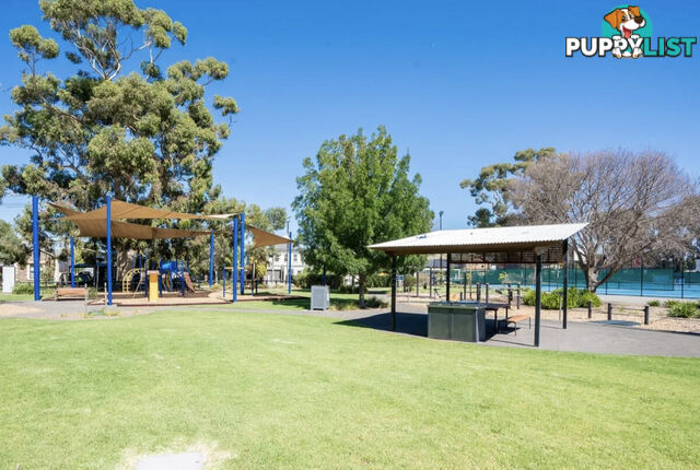4 81 Avenue Road Payneham SA 5070