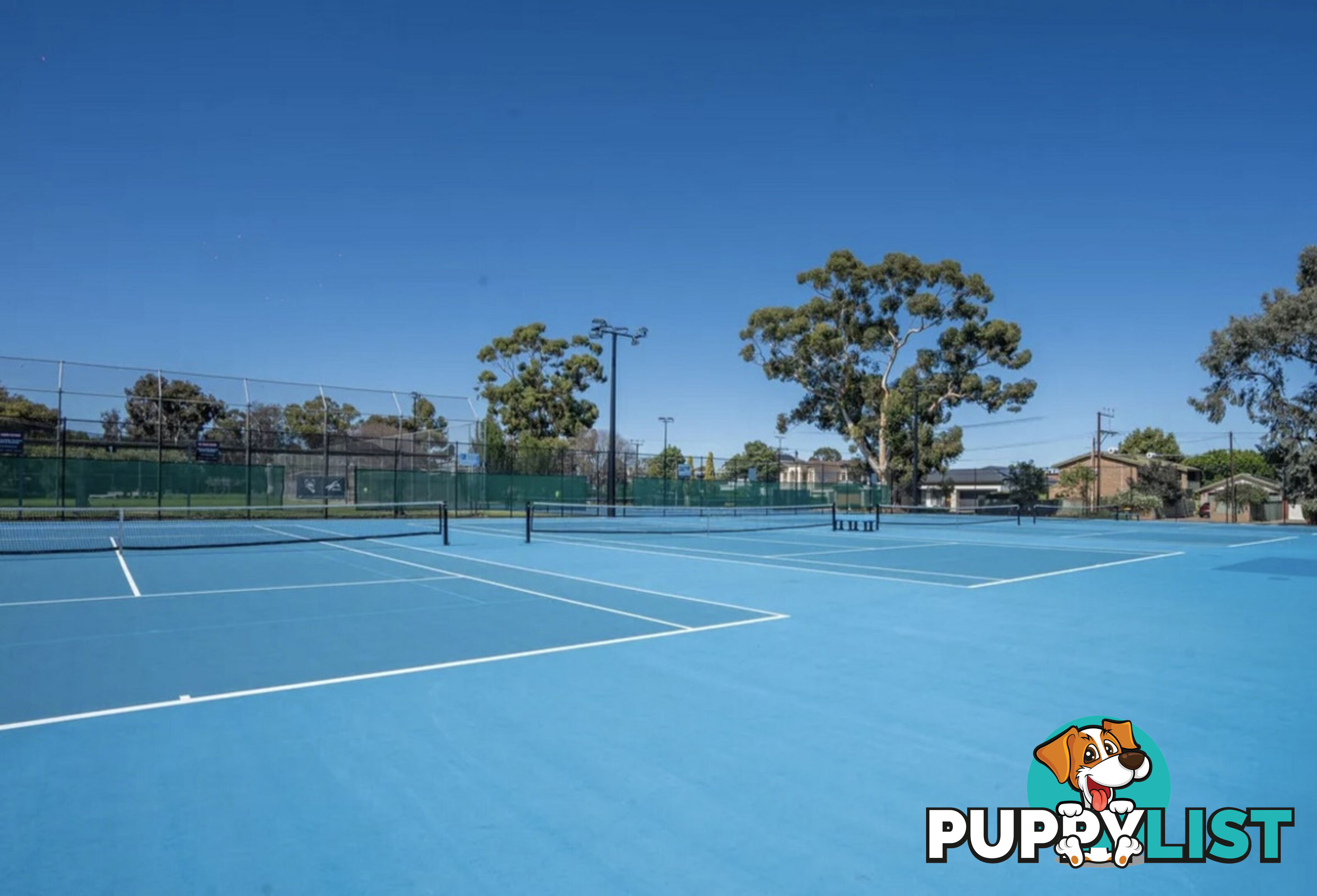 4 81 Avenue Road Payneham SA 5070