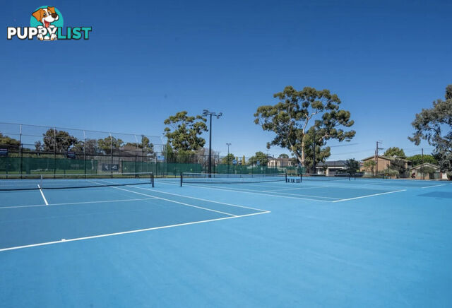 4 81 Avenue Road Payneham SA 5070