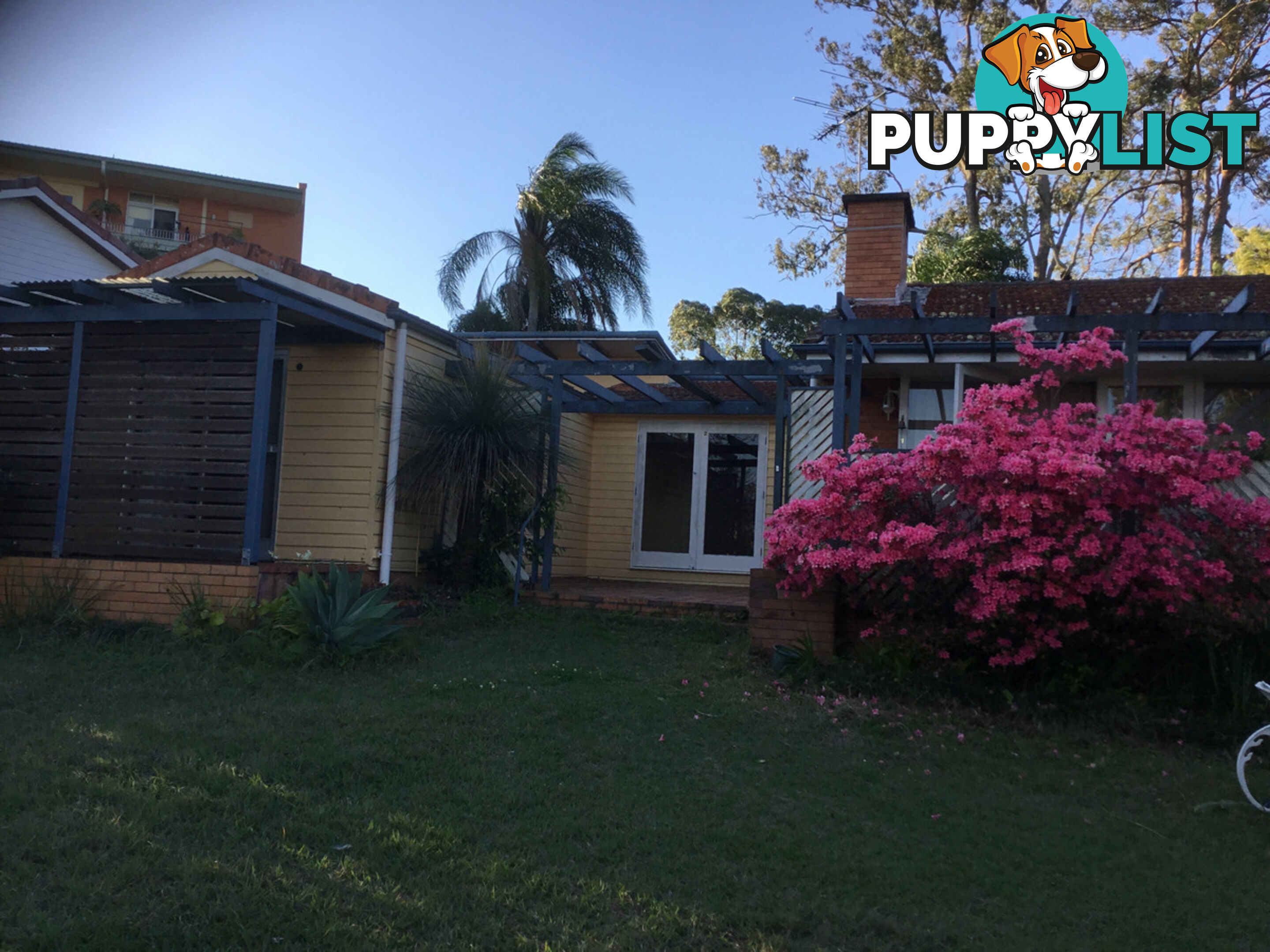 2 83 Upland Road St Lucia QLD 4067