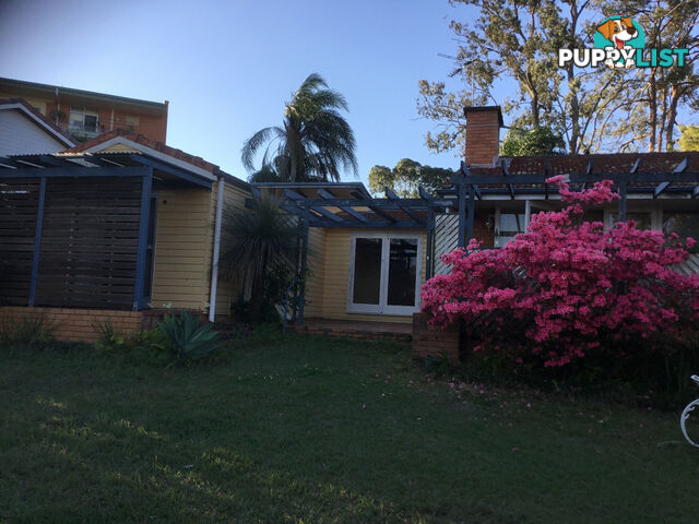 2 83 Upland Road St Lucia QLD 4067