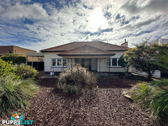 19 Morely Road Seaton SA 5023