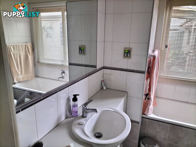 40 The Esplanade Clifton Hill VIC 3068