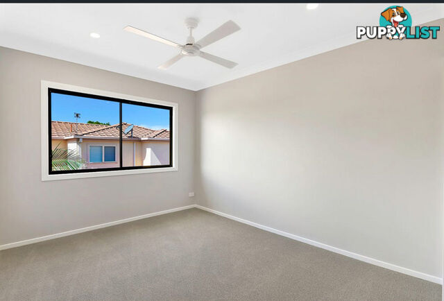 2 24 Abalone Avenue Paradise Point QLD 4216
