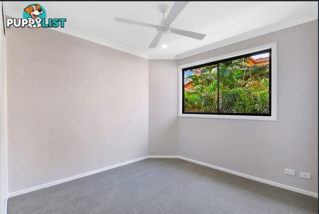 2 24 Abalone Avenue Paradise Point QLD 4216