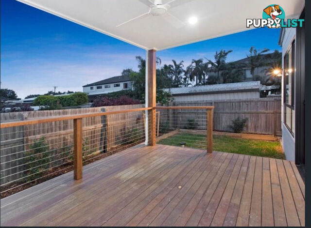 2 24 Abalone Avenue Paradise Point QLD 4216