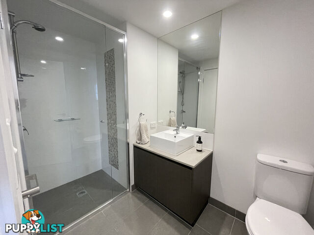 42 Laver Drive Robina QLD 4226