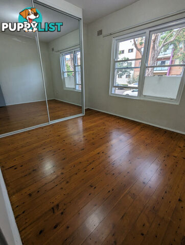 3 18 Eighth Avenue Campsie NSW 2194