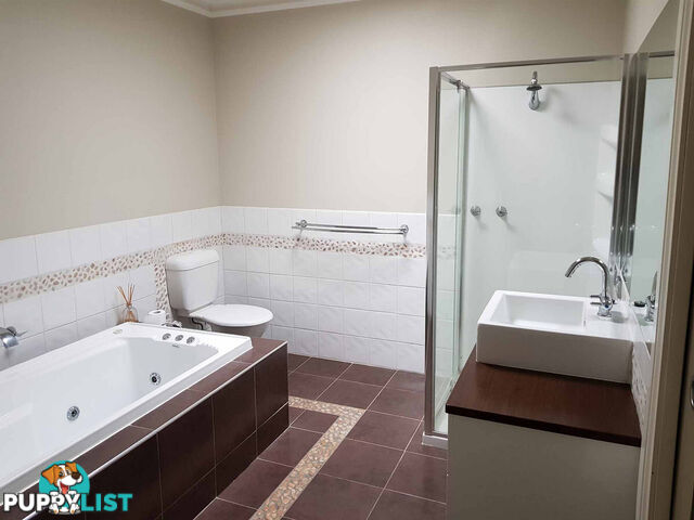 9 Palmerston Street Bendigo VIC 3550