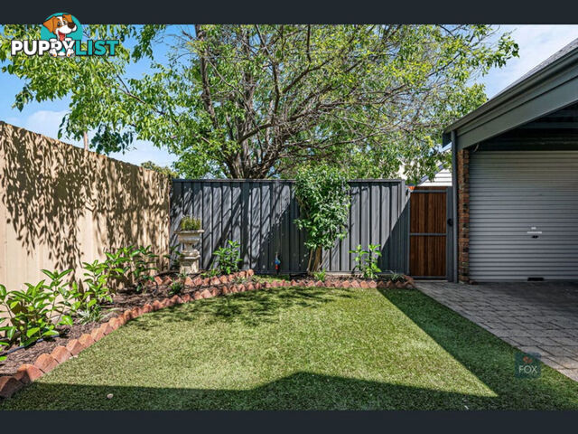 3 21 Clark Street Wayville SA 5034