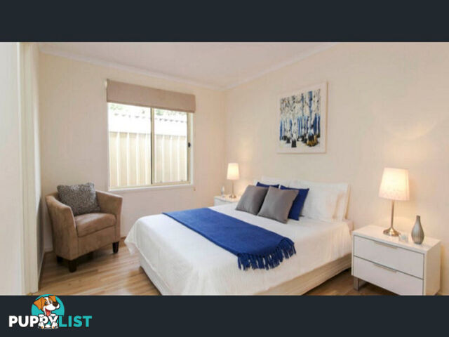 41A Warwick Street Enfield SA 5085