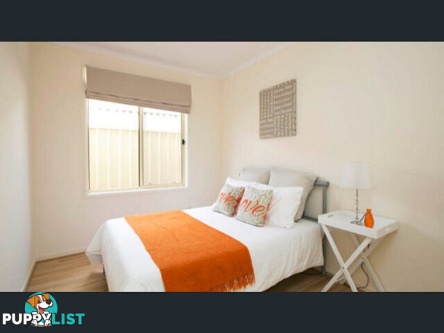 41A Warwick Street Enfield SA 5085