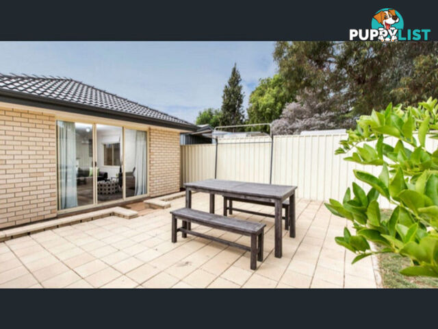 41A Warwick Street Enfield SA 5085