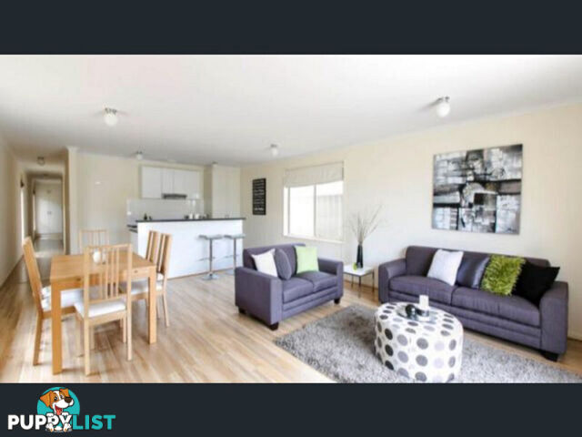 41A Warwick Street Enfield SA 5085