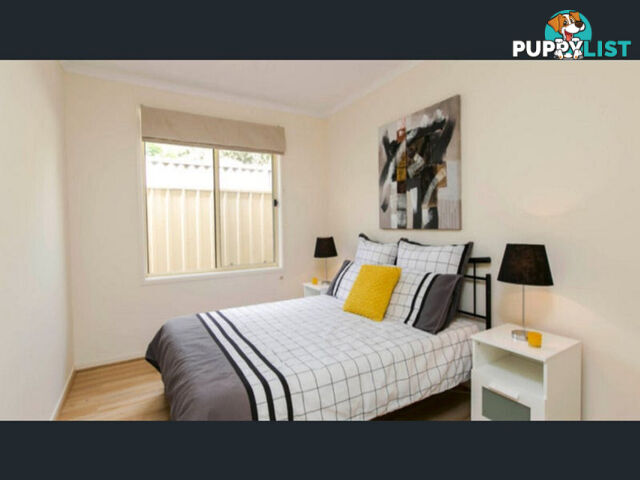 41A Warwick Street Enfield SA 5085