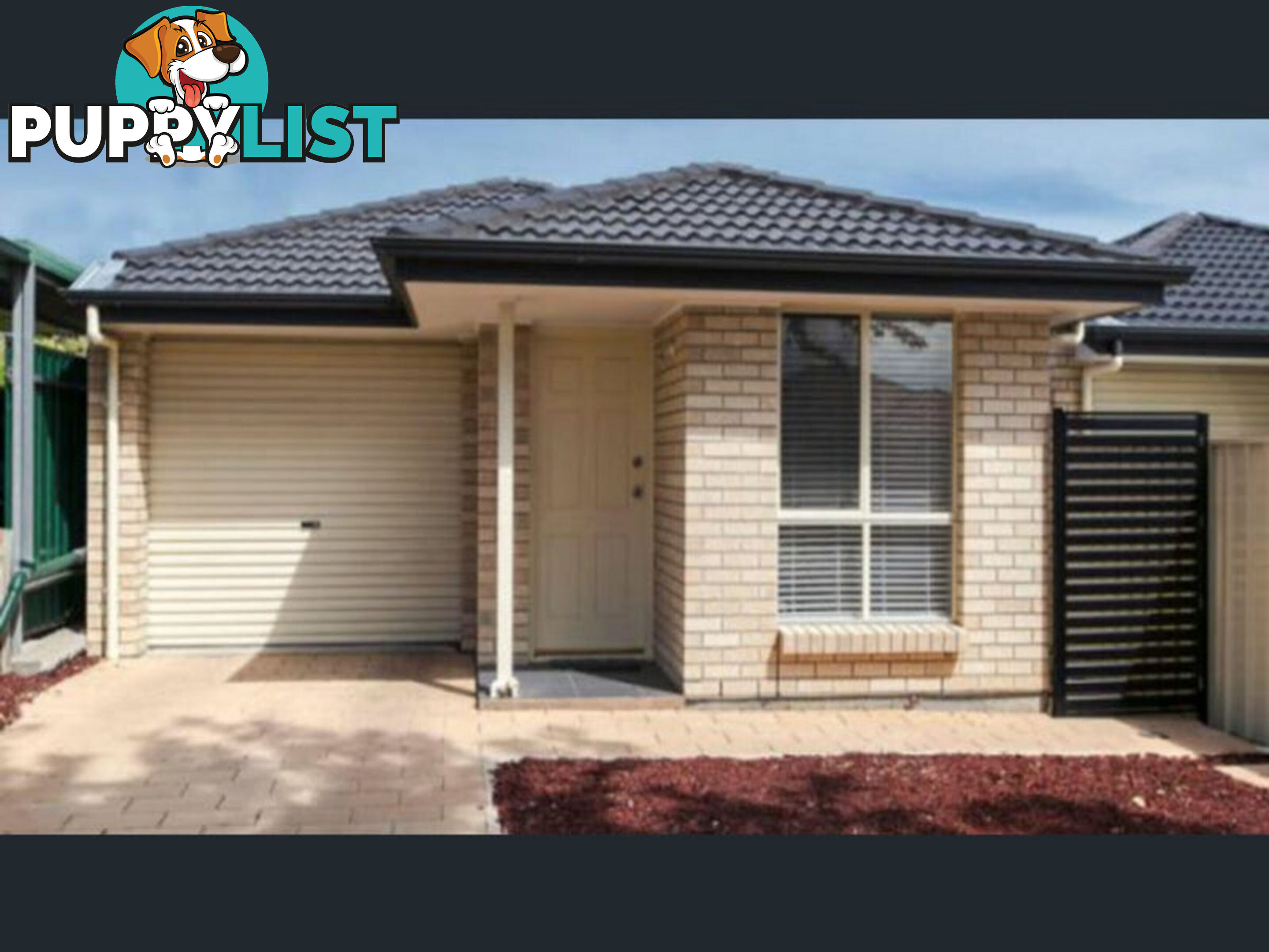 41A Warwick Street Enfield SA 5085