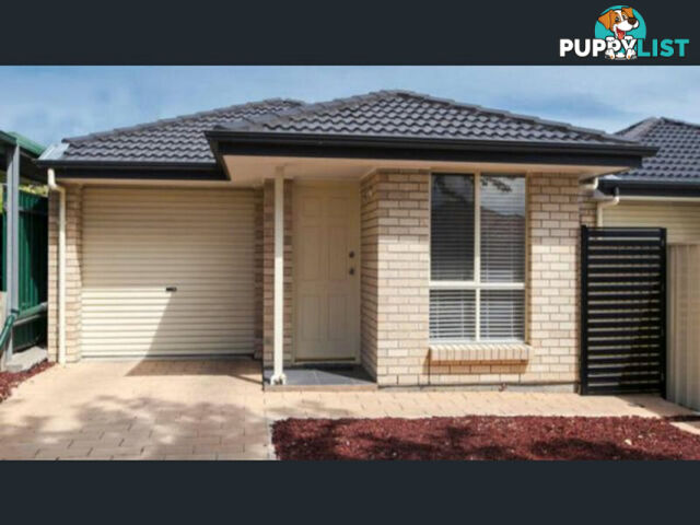 41A Warwick Street Enfield SA 5085