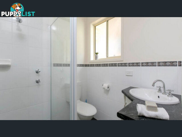 41A Warwick Street Enfield SA 5085