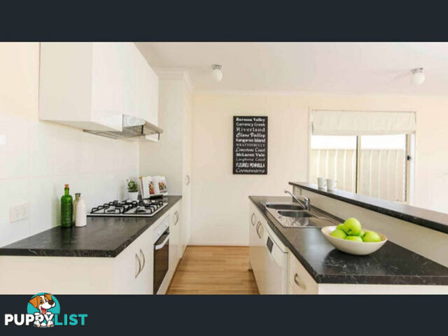 41A Warwick Street Enfield SA 5085