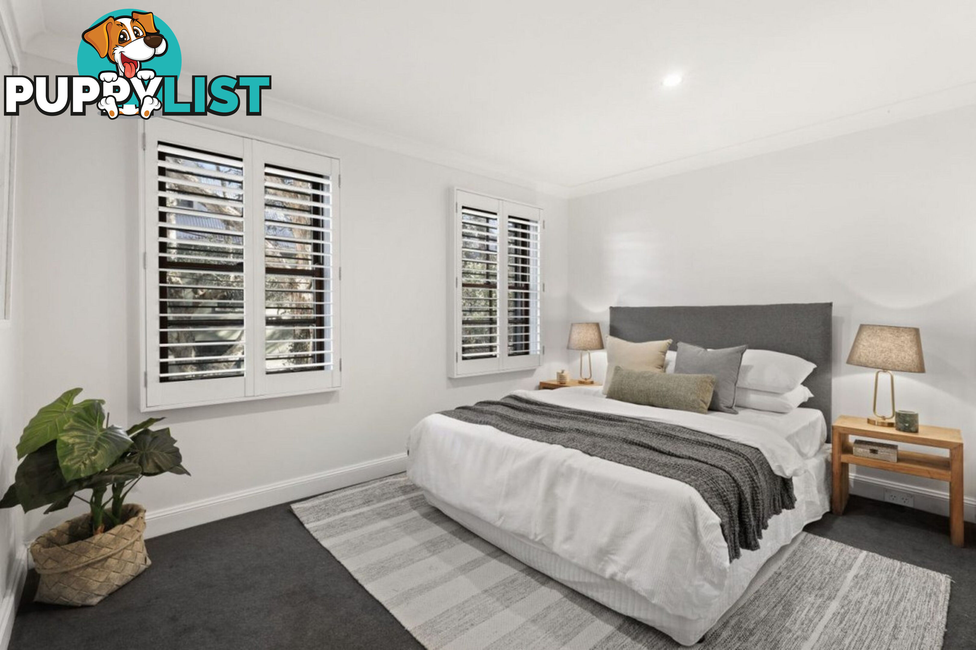 24 Norton Street Surry Hills NSW 2010