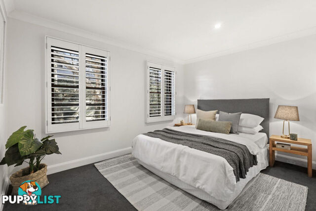 24 Norton Street Surry Hills NSW 2010