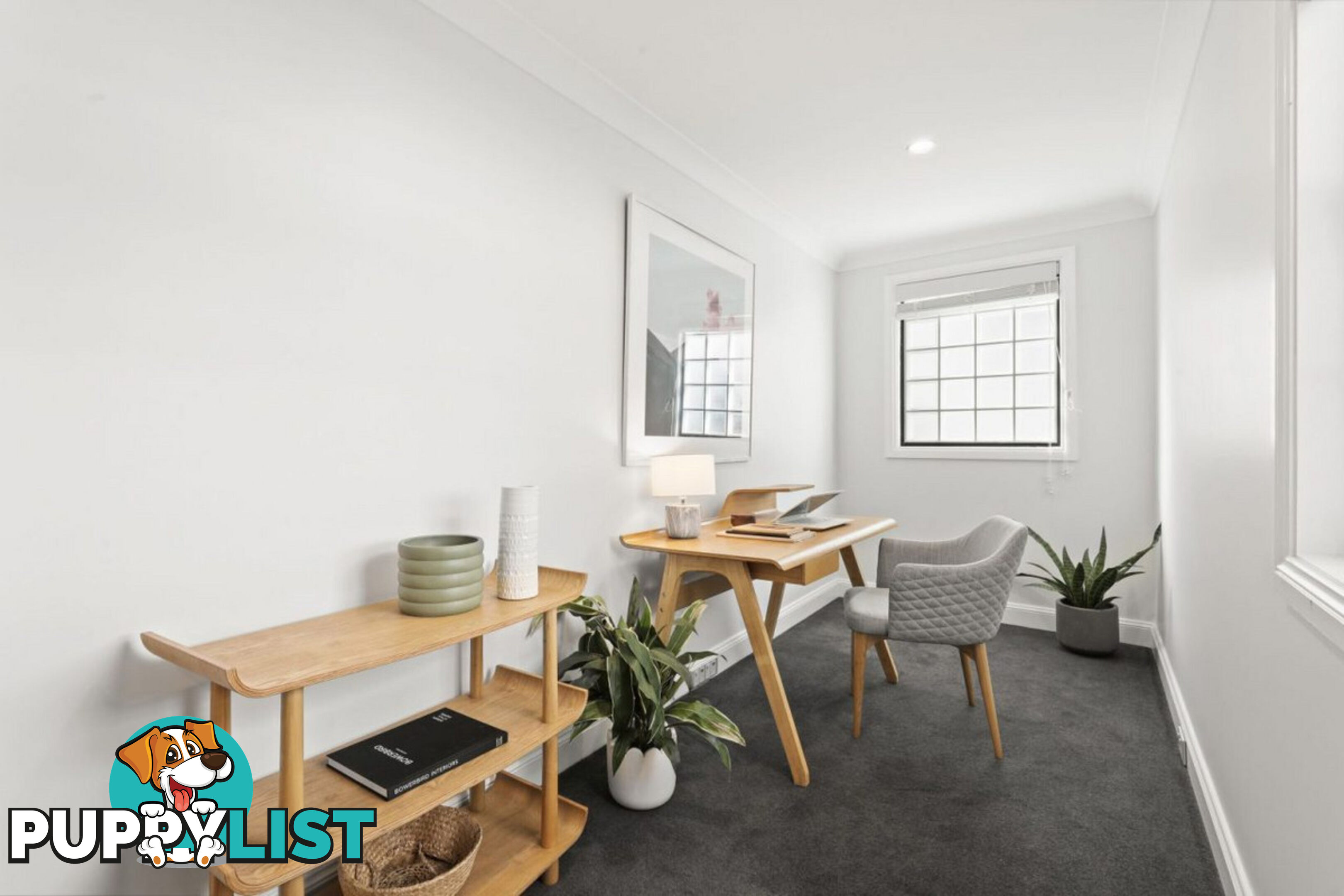 24 Norton Street Surry Hills NSW 2010