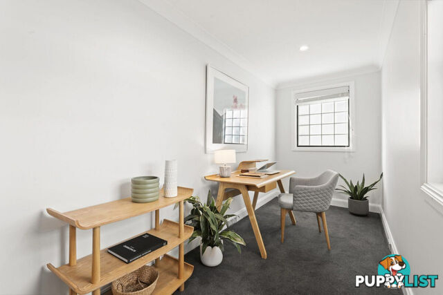 24 Norton Street Surry Hills NSW 2010