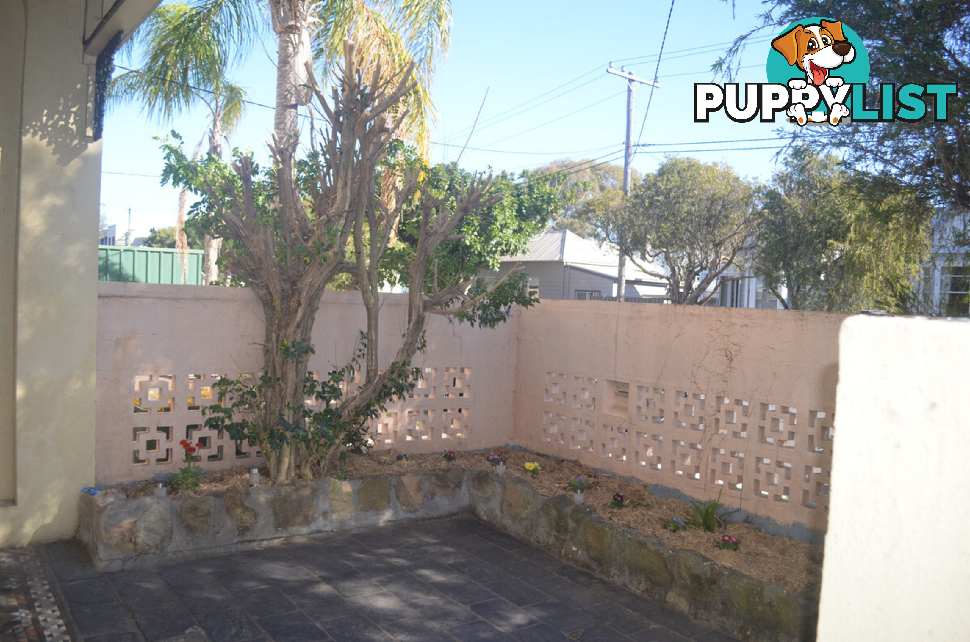 1 57 Lawson Street Hamilton NSW 2303