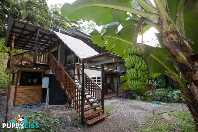 103 7 Gorge Road Port Douglas QLD 4877