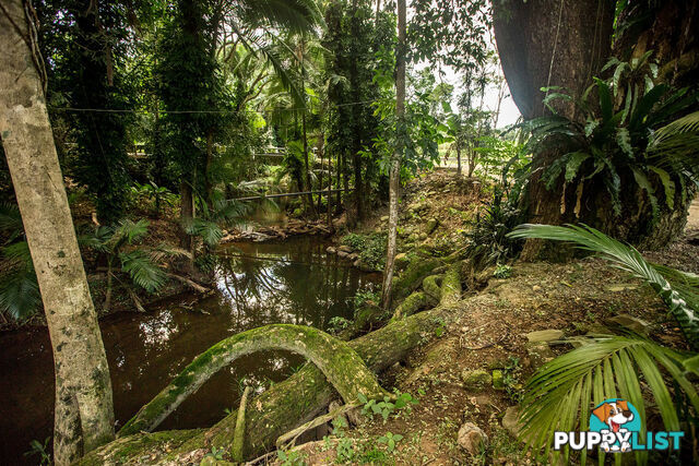 103 7 Gorge Road Port Douglas QLD 4877