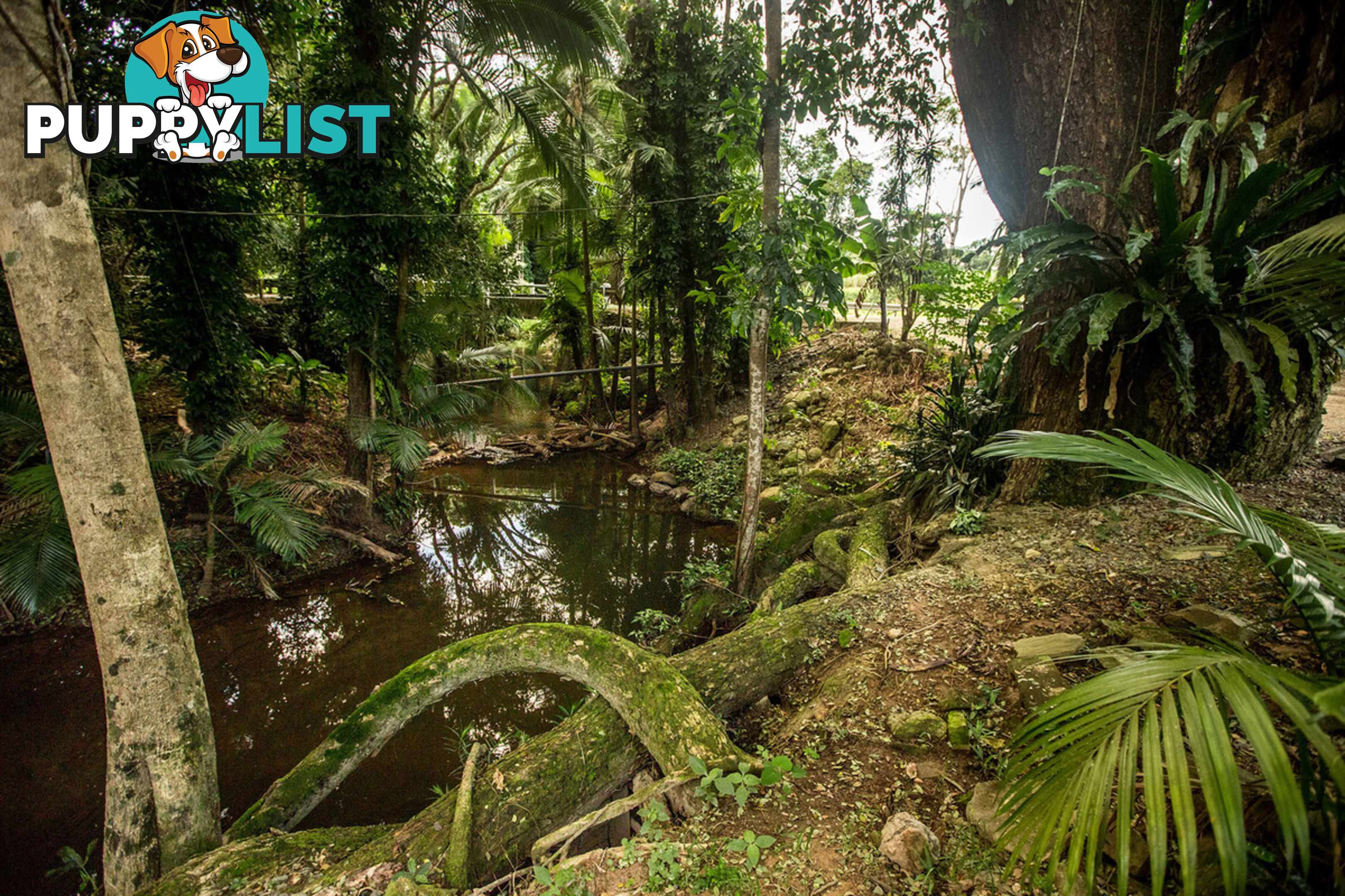 103 7 Gorge Road Port Douglas QLD 4877
