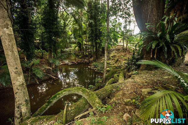 103 7 Gorge Road Port Douglas QLD 4877