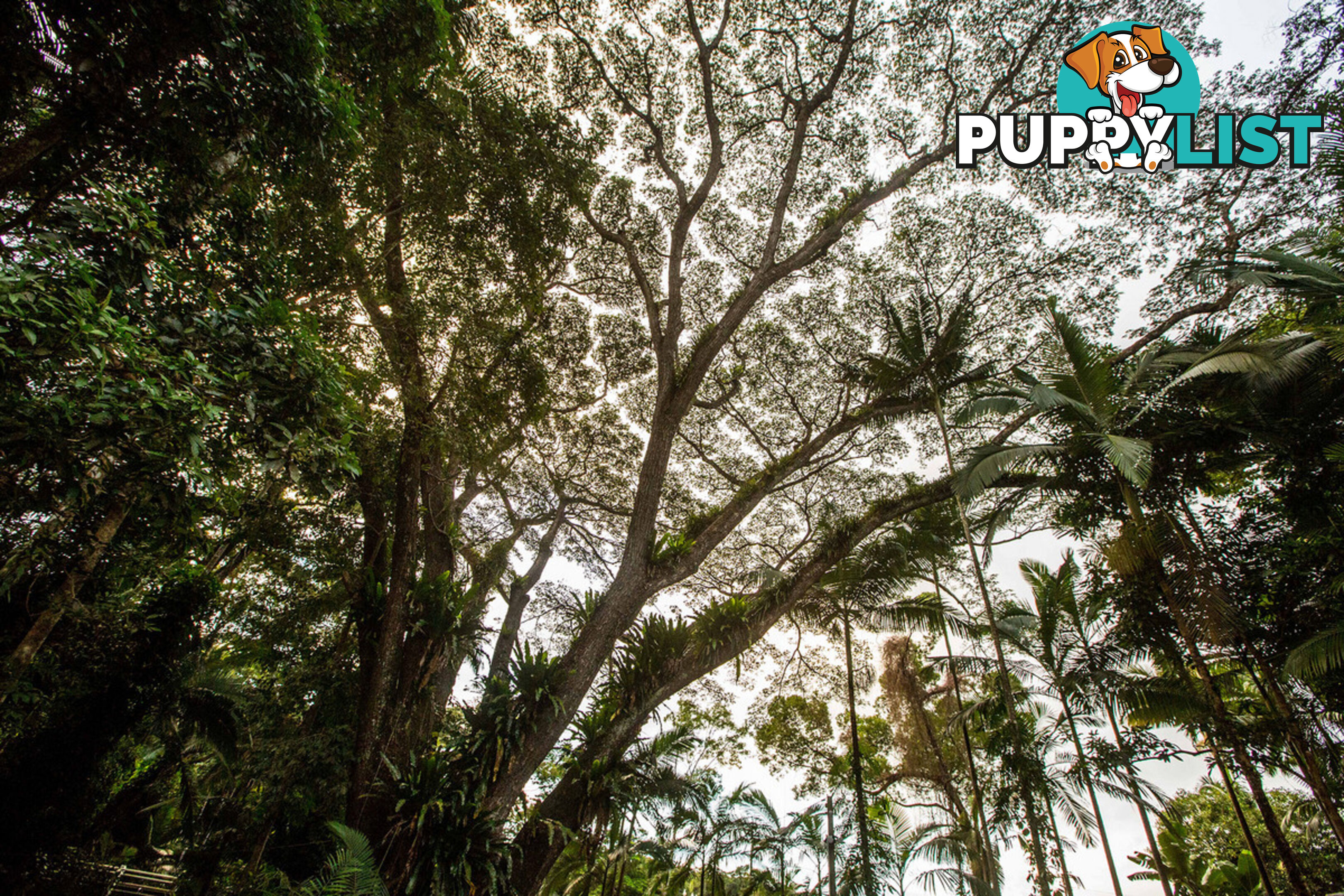 103 7 Gorge Road Port Douglas QLD 4877
