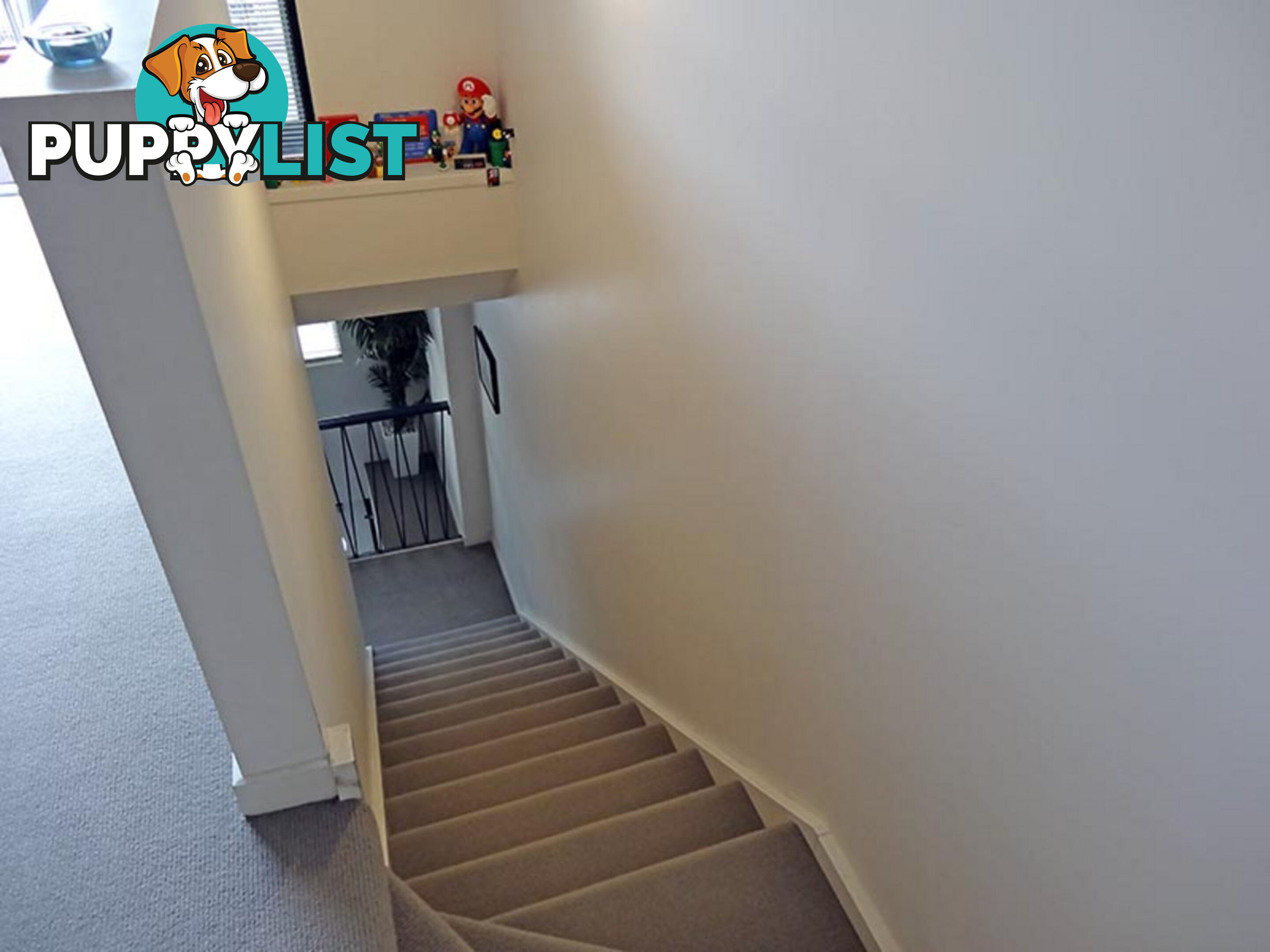 12 26 High Street Northcote VIC 3070
