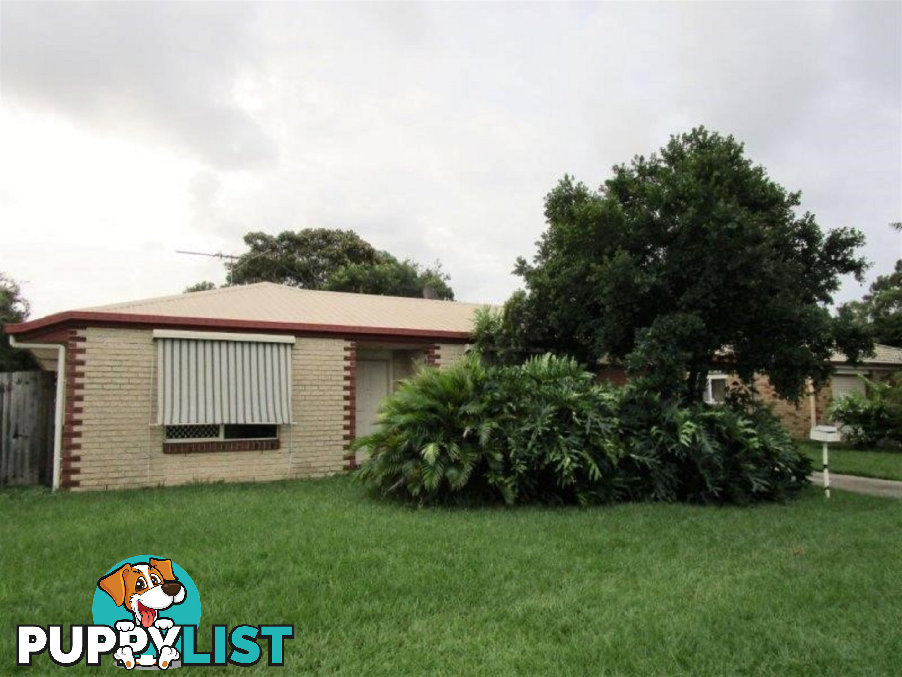 19 Dorset Drive Caboolture South QLD 4510