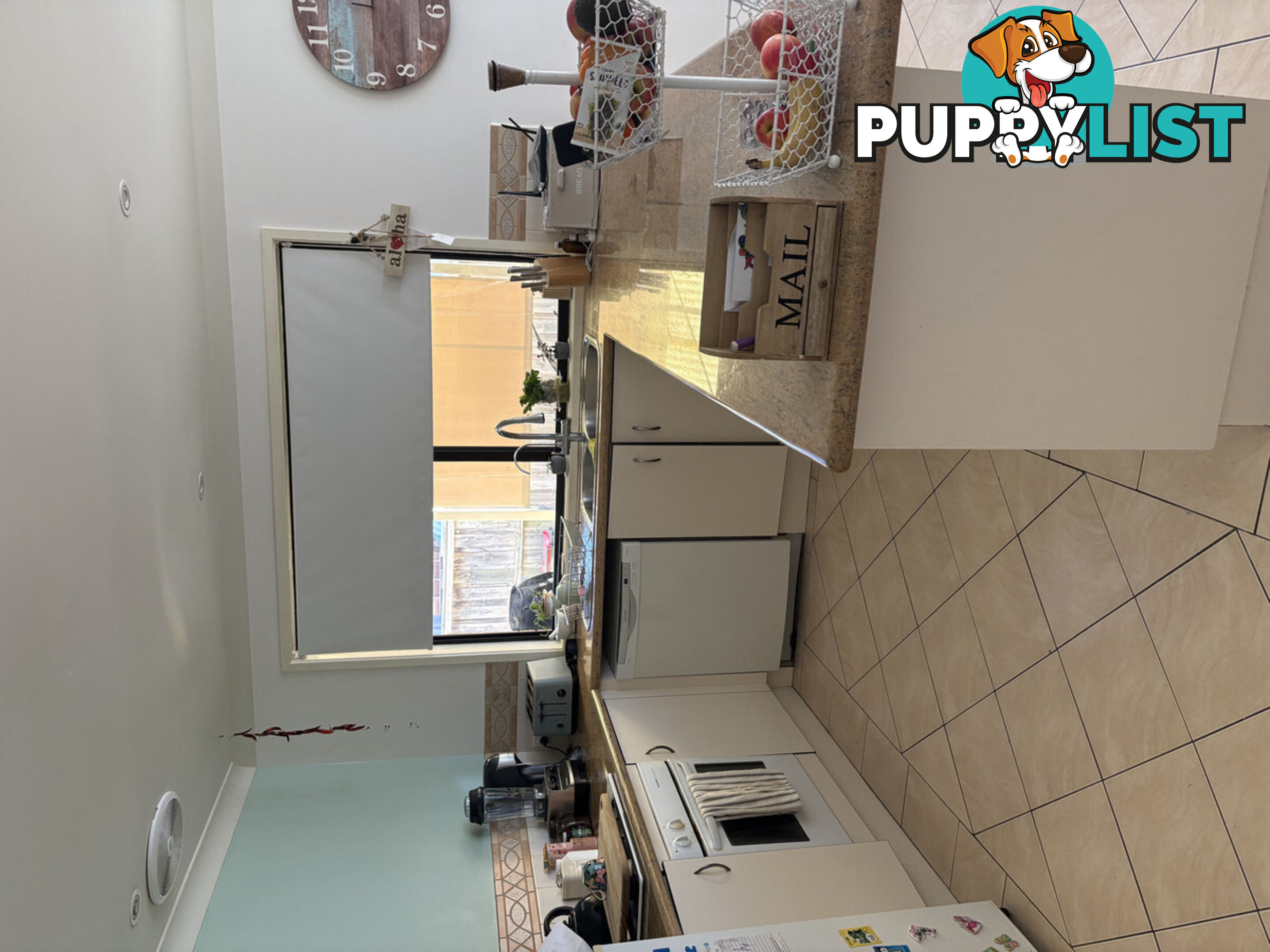 20 Tuart Circle Narellan Vale NSW 2567