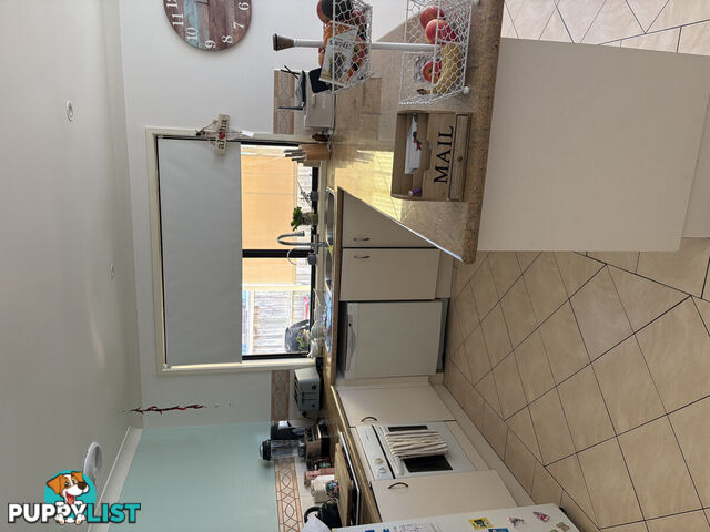 20 Tuart Circle Narellan Vale NSW 2567