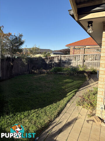 20 Tuart Circle Narellan Vale NSW 2567