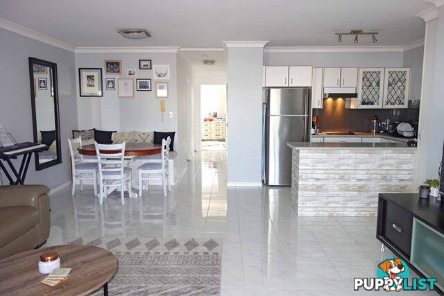 4 14 Douglas Street Greenslopes QLD 4120