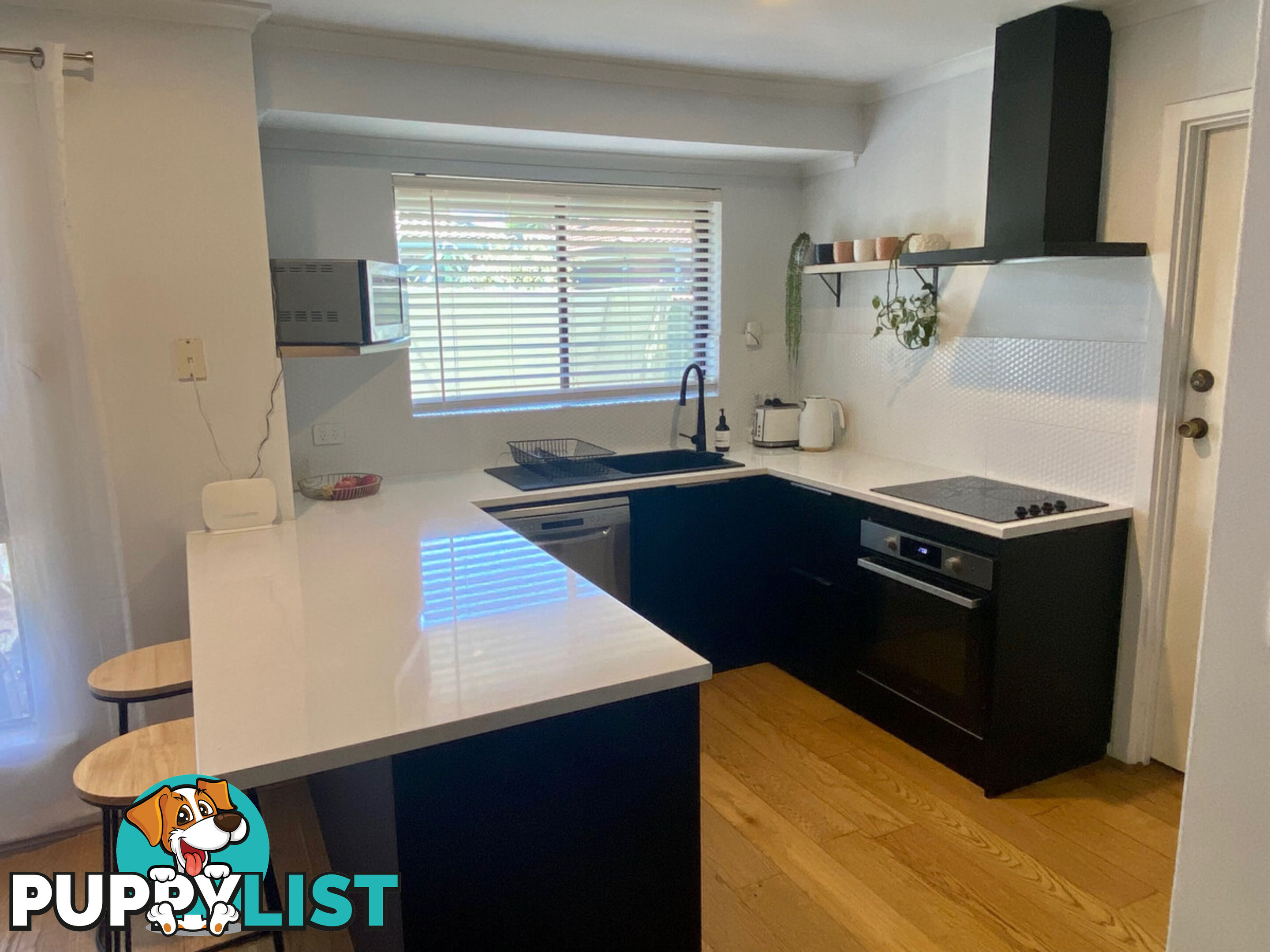 25 Malin Street Semaphore Park SA 5019