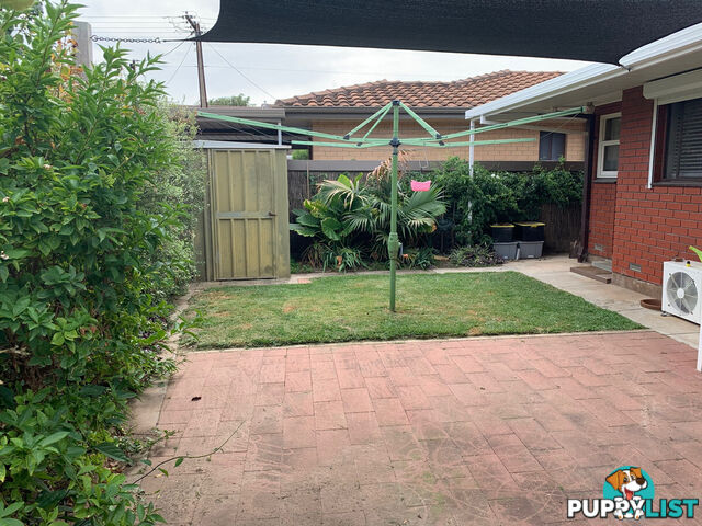 25 Malin Street Semaphore Park SA 5019