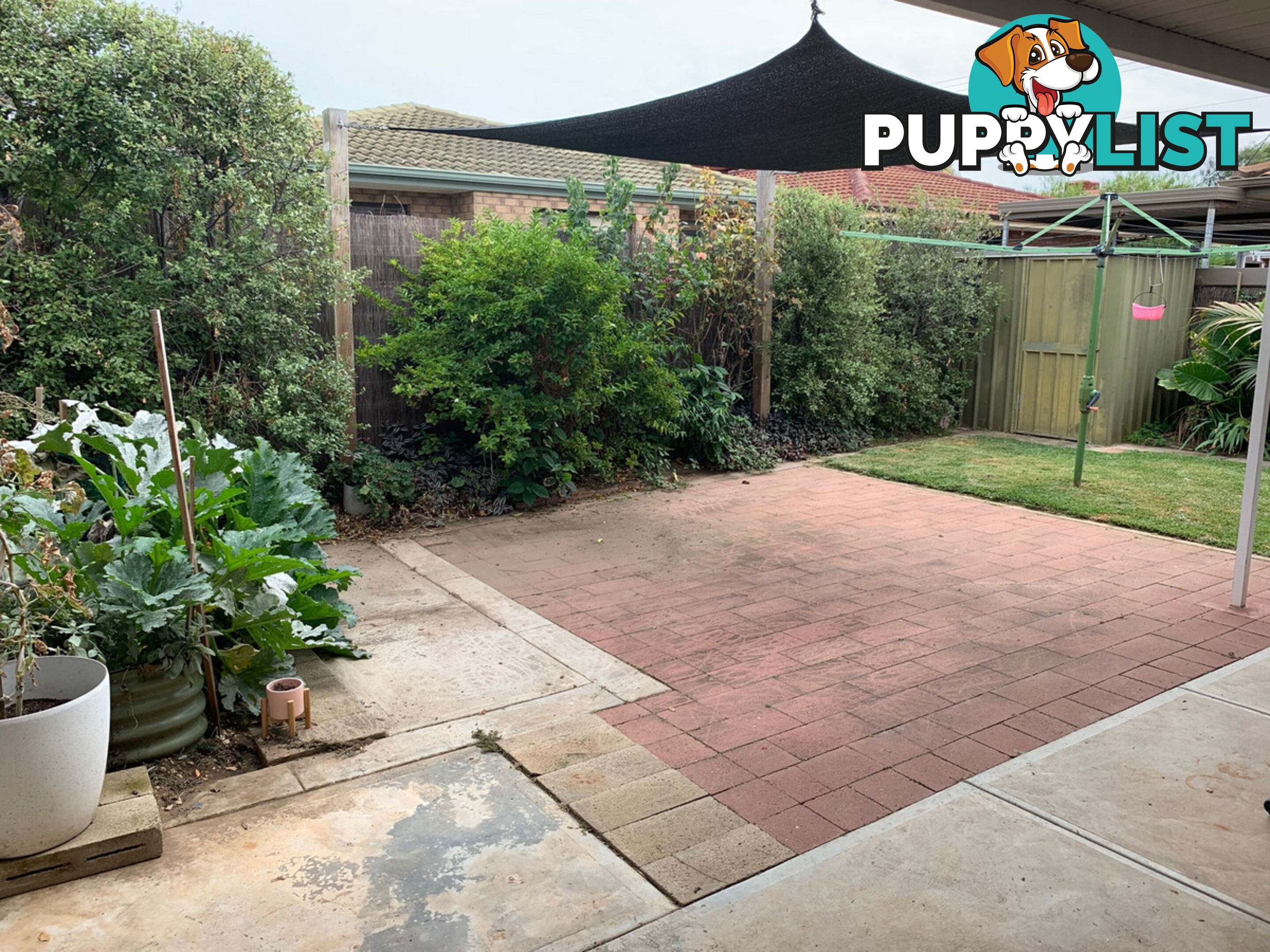 25 Malin Street Semaphore Park SA 5019