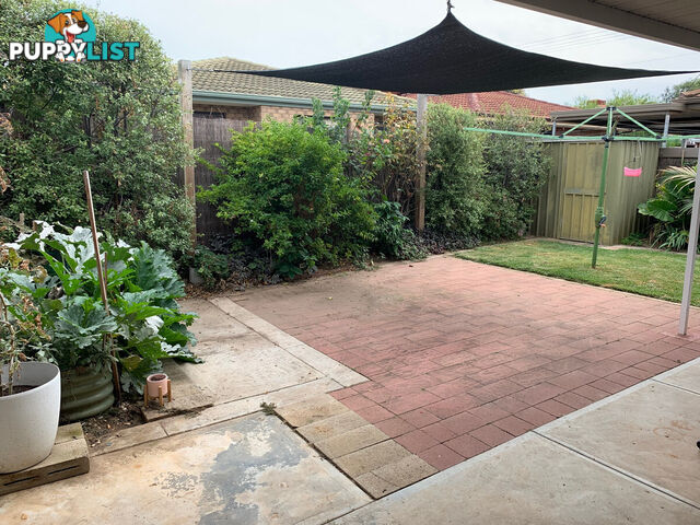 25 Malin Street Semaphore Park SA 5019