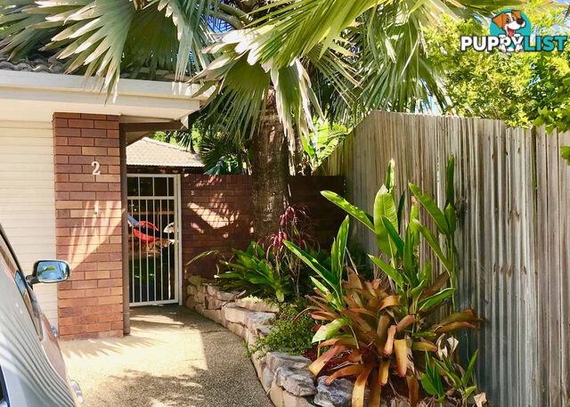 2 7 Flora Close Burleigh Waters QLD 4220