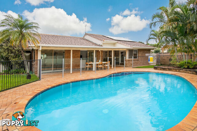 16 Ridgewood Court Burleigh Waters QLD 4220