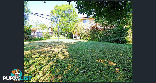 3 Suncrest Street Geebung QLD 4034