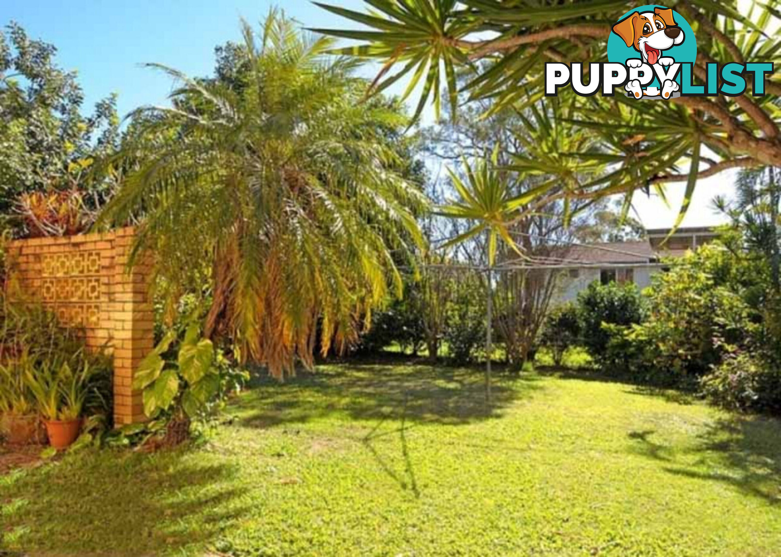 3 Suncrest Street Geebung QLD 4034